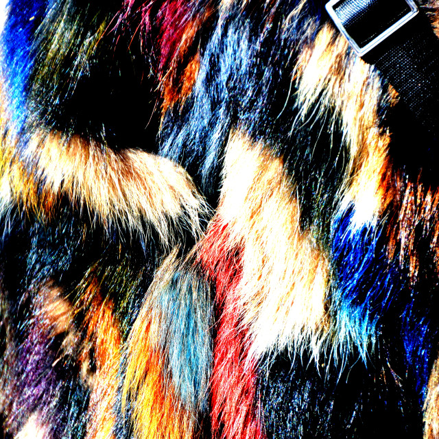 "Colours in a coat" by Amit Mendelsohn - $48.79 "Colours in a coat" stock image