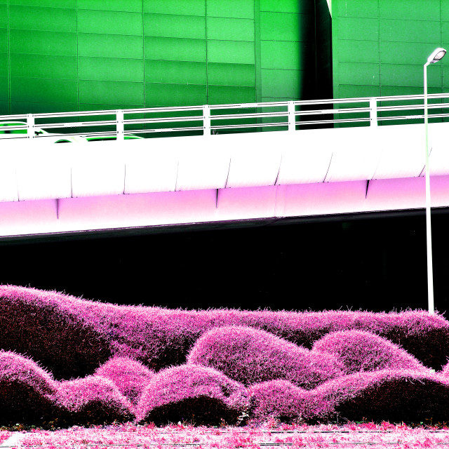 "Hue of a road and plants" by Amit Mendelsohn - $48.79 "Hue of a road and plants" stock image