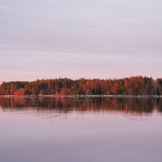 "Purple seascape at dawn" stock image