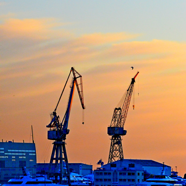 "2 cranes in the sunset" by Amit Mendelsohn - $48.79 "2 cranes in the sunset" stock image