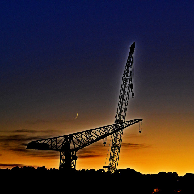 "Cranes in the dark" by Amit Mendelsohn - $48.79 "Cranes in the dark" stock image