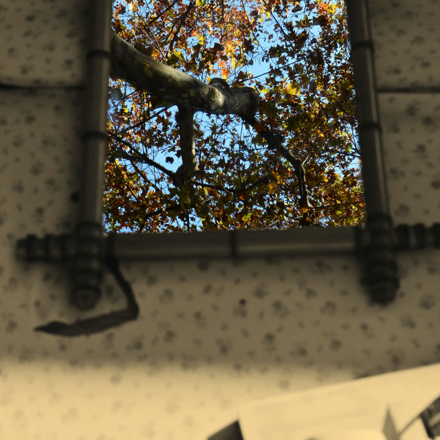 "A tree reflecting in a mirror" by Amit Mendelsohn - £50.00 "A tree reflecting in a mirror" stock image