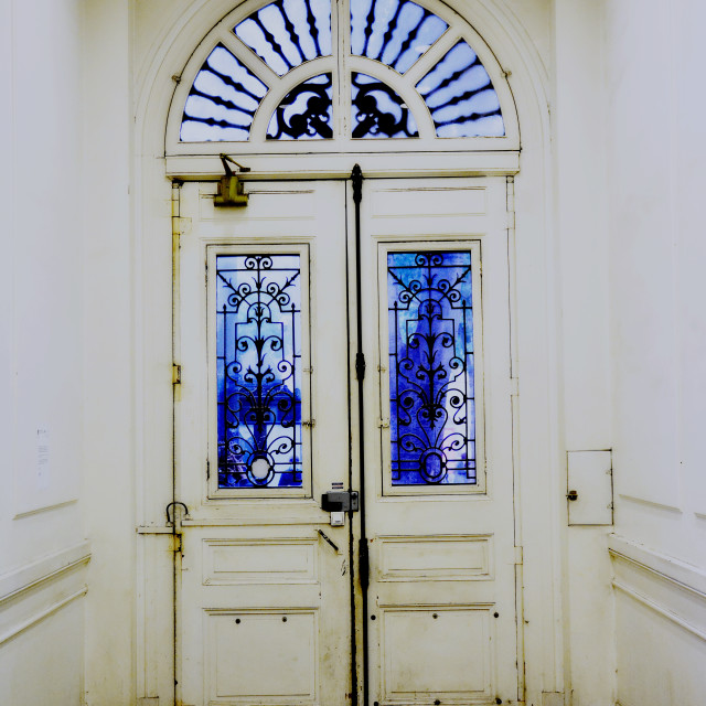 "Blue in a white" by Amit Mendelsohn - $49.80 "Blue in a white" stock image