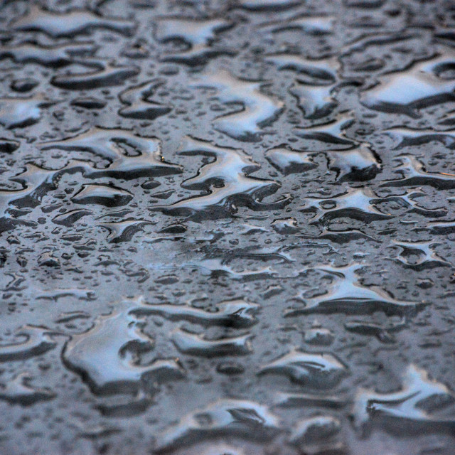 "Water drops" stock image