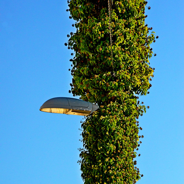 "A lamp undercover" by Amit Mendelsohn - $49.80 "A lamp undercover" stock image