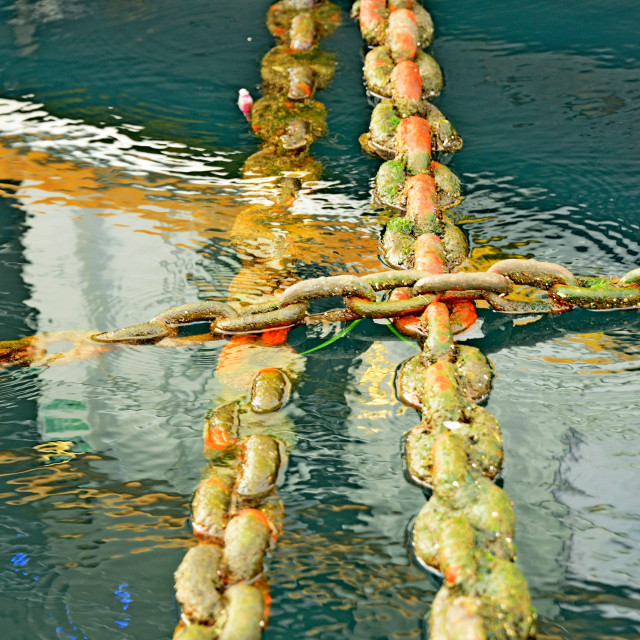 "Double chain" by Amit Mendelsohn - $49.42 "Double chain" stock image