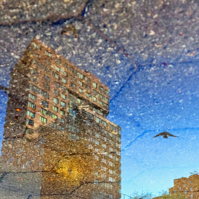 "Magic Morning" by Nancy E Hightower - £25.00 "Magic Morning" stock image