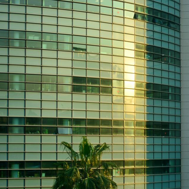 "A sunset a building and a tree" by Amit Mendelsohn - £50.00 "A sunset a building and a tree" stock image