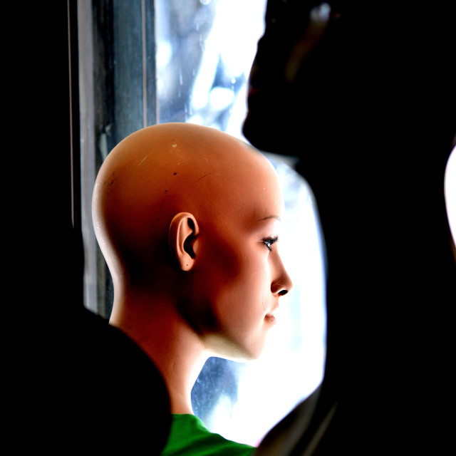"Looking out the window" by Amit Mendelsohn - $49.80 "Looking out the window" stock image