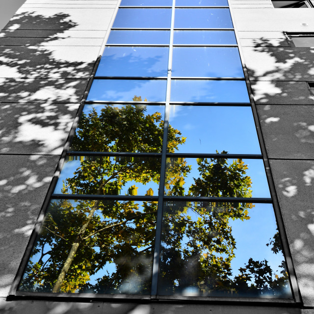 "Reflection and shadow" by Amit Mendelsohn - £50.00 "Reflection and shadow" stock image