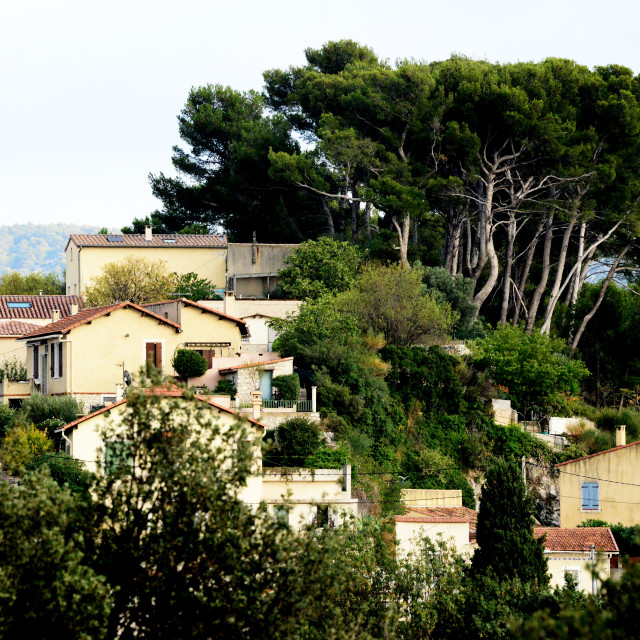 "Living in the nature" by Amit Mendelsohn - $50.52 "Living in the nature" stock image
