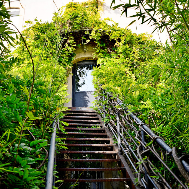 "Steps in the bushes" by Amit Mendelsohn - $50.52 "Steps in the bushes" stock image
