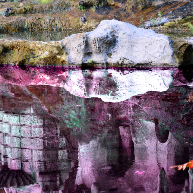 "Longchamp palace pond" by Amit Mendelsohn - £50.00 "Longchamp palace pond" stock image