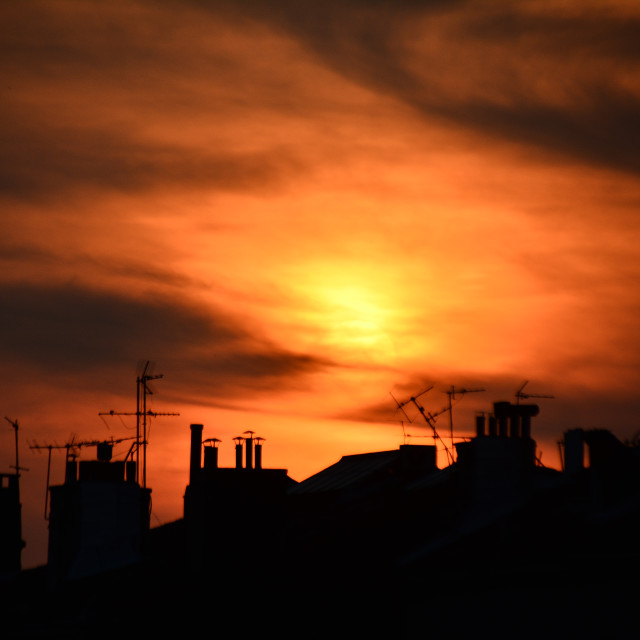 "Silhouette in the sunset" by Amit Mendelsohn - £50.00 "Silhouette in the sunset" stock image