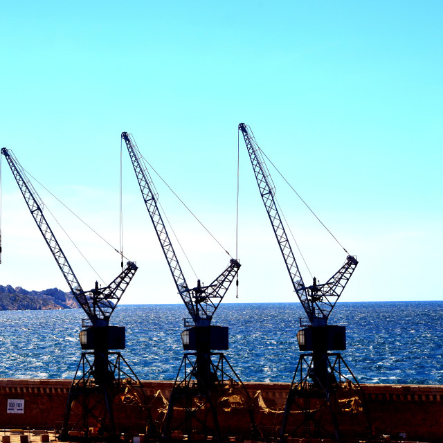 "3 cranes" by Amit Mendelsohn - £50.00 "3 cranes" stock image