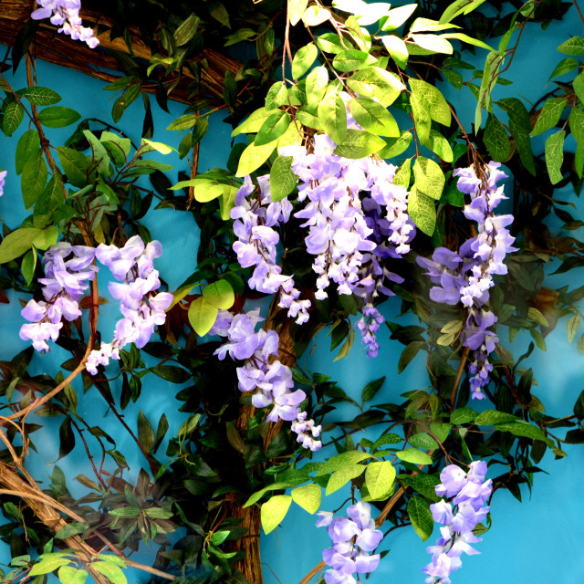 "Flowers on a blue background" by Amit Mendelsohn - £50.00 "Flowers on a blue background" stock image