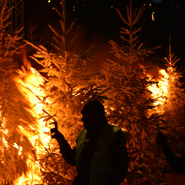 "Christmas trees on fire" by Amit Mendelsohn - £50.00 "Christmas trees on fire" stock image