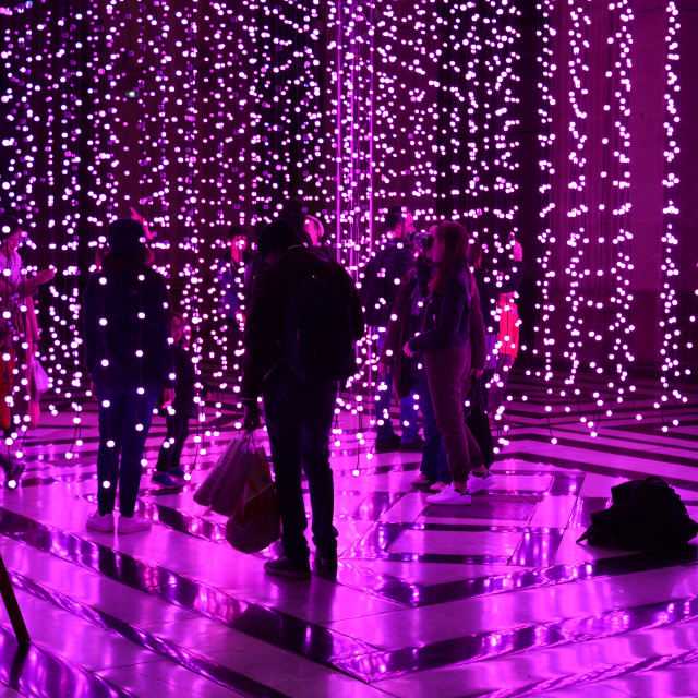 "People in a see of purple light" by Amit Mendelsohn - £50.00 "People in a see of purple light" stock image