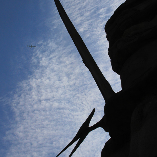 "Pteranadon and a Jet" stock image