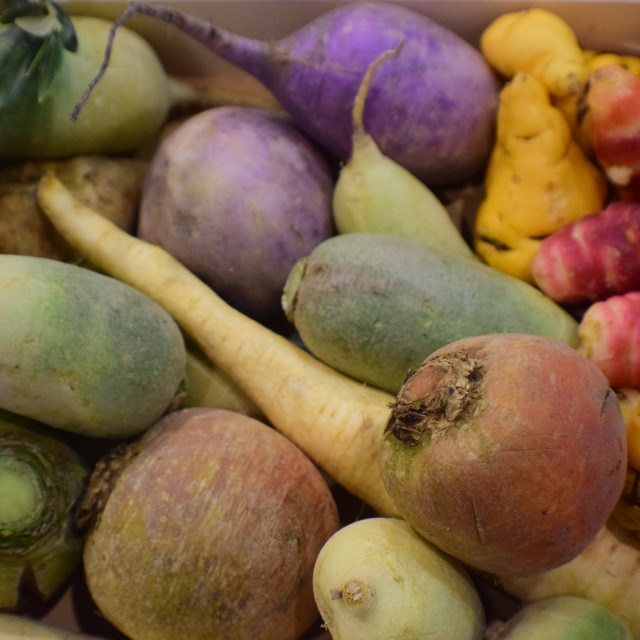 "Vegetables of the season" by Amit Mendelsohn - £50.00 "Vegetables of the season" stock image
