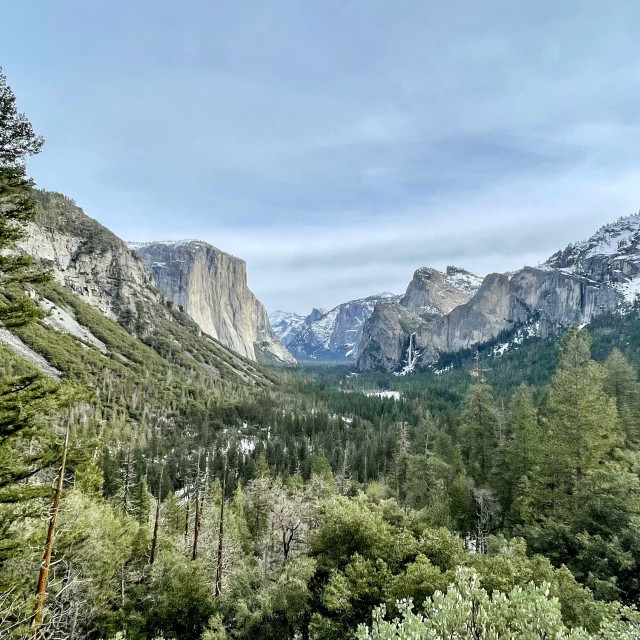 "Yosemite National Park" by Melissa Minnella - £15.00 "Yosemite National Park" stock image
