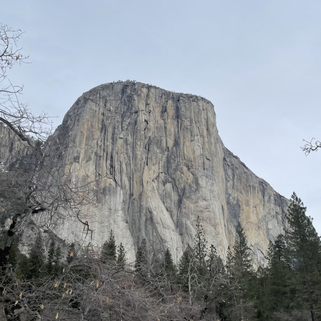"El Capitan" by Melissa Minnella - £15.00 "El Capitan" stock image