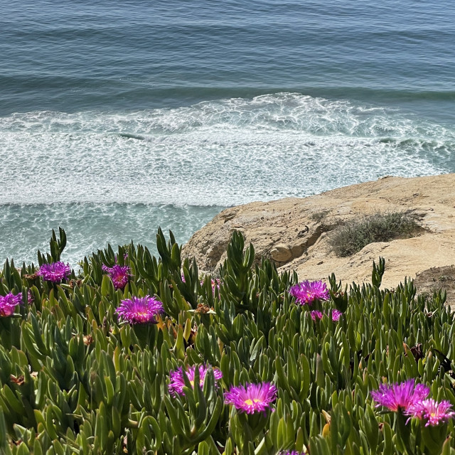 "Beach view From the Cliffs" by Melissa Minnella - £15.00 "Beach view From the Cliffs" stock image