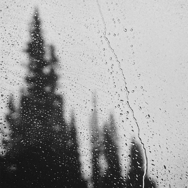 "Rain on the Window" stock image