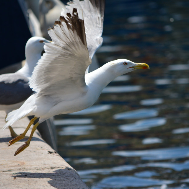 "Take off" stock image