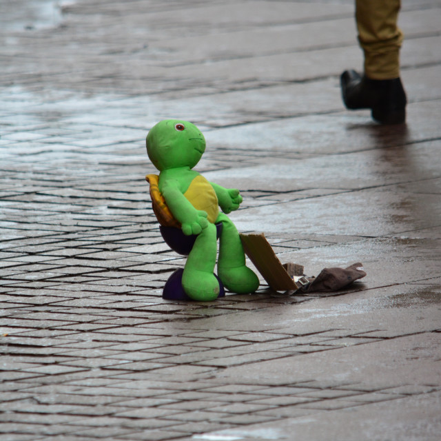 "The turtle bagger" by Amit Mendelsohn - £50.00 "The turtle bagger" stock image