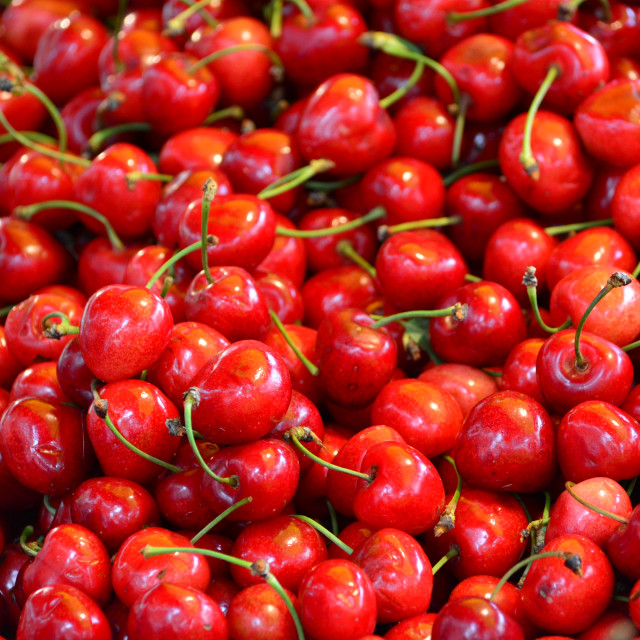 "Cherries" stock image