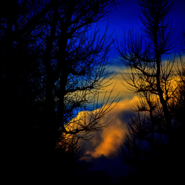 "Sky" by Amit Mendelsohn - £50.00 "Sky" stock image