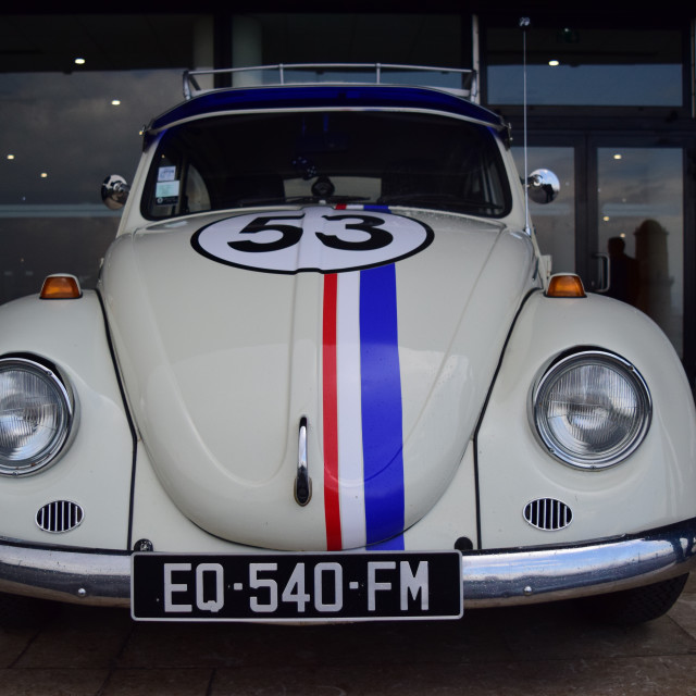 "The famous Beatle" by Amit Mendelsohn - £50.00 "The famous Beatle" stock image