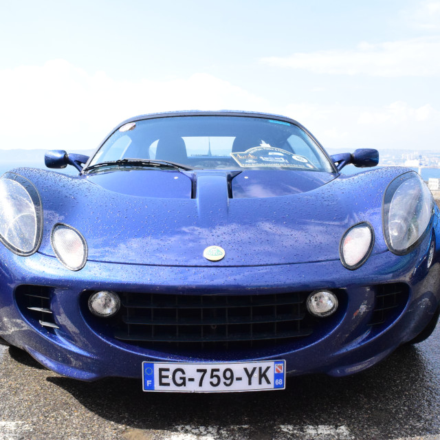 "Lotus" by Amit Mendelsohn - £50.00 "Lotus" stock image