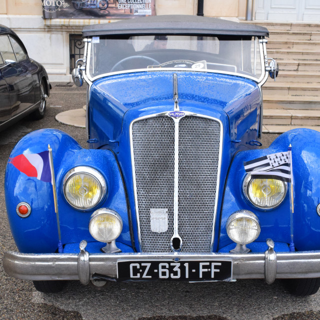 "Salmson" by Amit Mendelsohn - £50.00 "Salmson" stock image