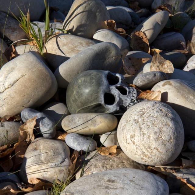 "A skull and stones" stock image