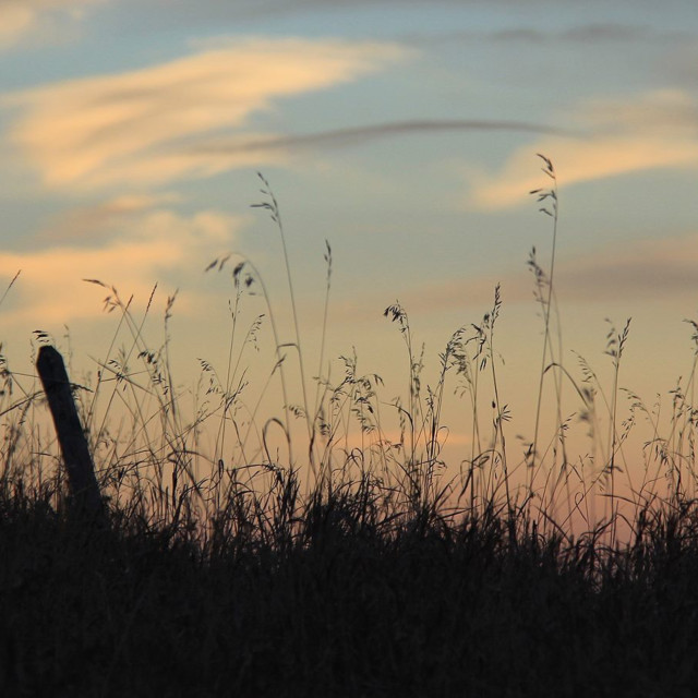 "Foothills Silhouette" by TGM Reynolds - £10.00 "Foothills Silhouette" stock image