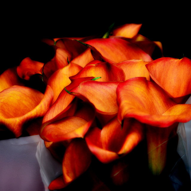 "A bunch of flowers" stock image