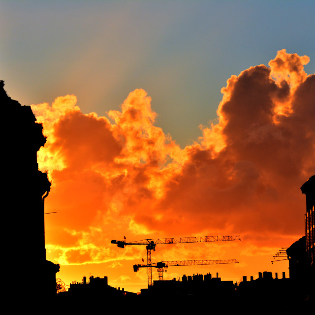 "Cranes in the sunset" stock image