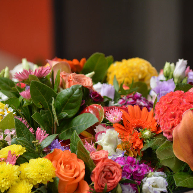"bunch of flowers" by Amit Mendelsohn - £50.00 "bunch of flowers" stock image