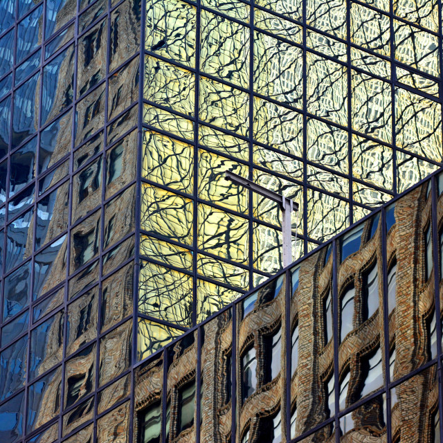 "Reflection" by Amit Mendelsohn - £50.00 "Reflection" stock image
