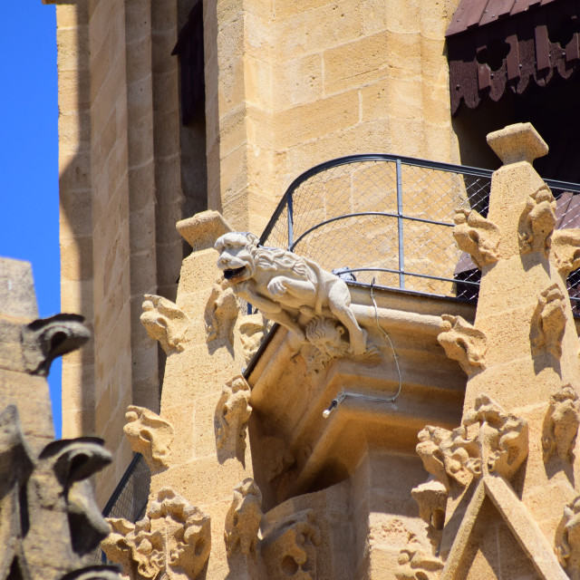 "The Gargoyles on the Cathedral of Aix" by Amit Mendelsohn - £50.00 "The Gargoyles on the Cathedral of Aix" stock image