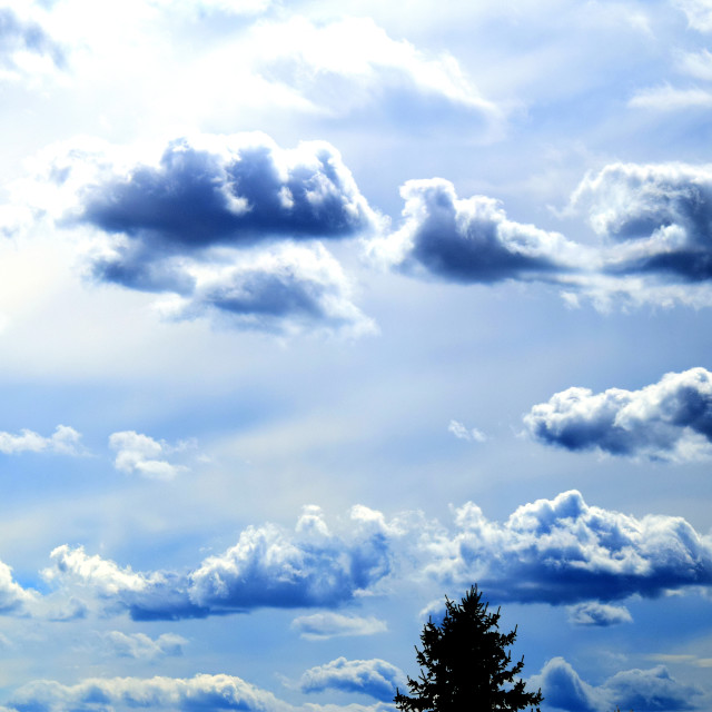 "Pure sky" by Amit Mendelsohn - £50.00 "Pure sky" stock image