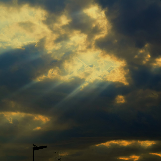 "Sun rays passes through" by Amit Mendelsohn - £50.00 "Sun rays passes through" stock image