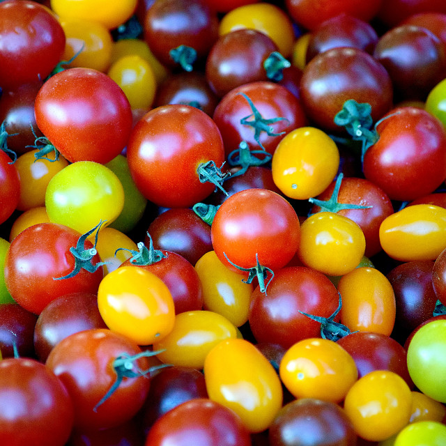 "Small tomatoes" by Amit Mendelsohn - £50.00 "Small tomatoes" stock image