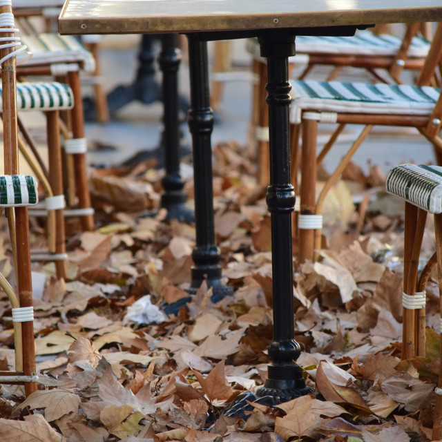 "Fallen leaves" by Amit Mendelsohn - £50.00 "Fallen leaves" stock image