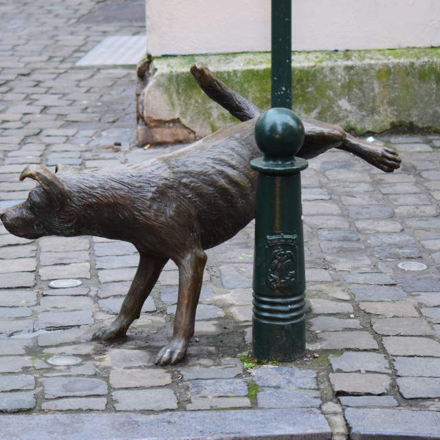 "Dog on a lamp post" by Amit Mendelsohn - £50.00 "Dog on a lamp post" stock image