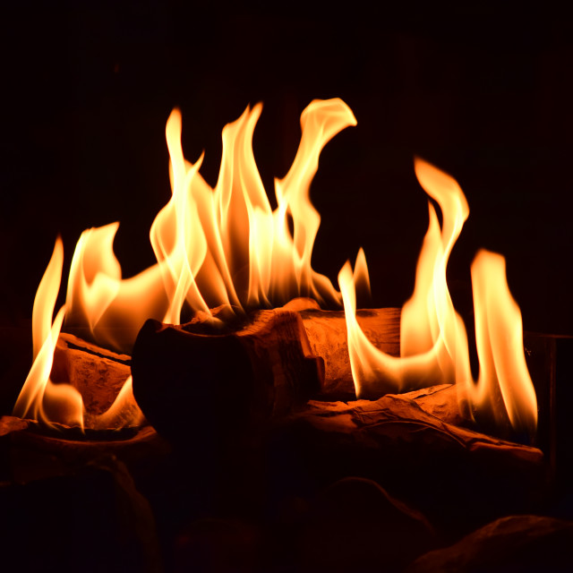 "Fire" by Amit Mendelsohn - £50.00 "Fire" stock image