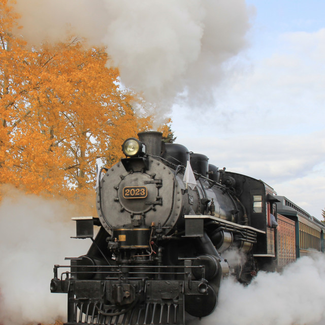 "A Locomotive Approaching in Autumn" stock image