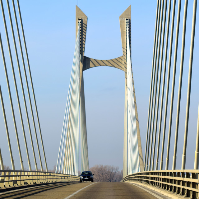 "A bridge in the Camargue" stock image